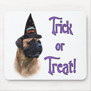 Bullmastiff Trick Musmatta