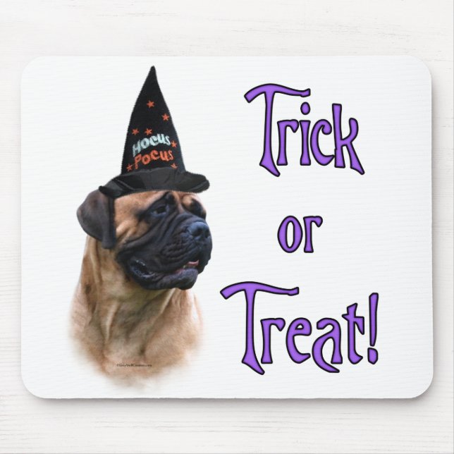 Bullmastiff Trick Musmatta (Framsidan)