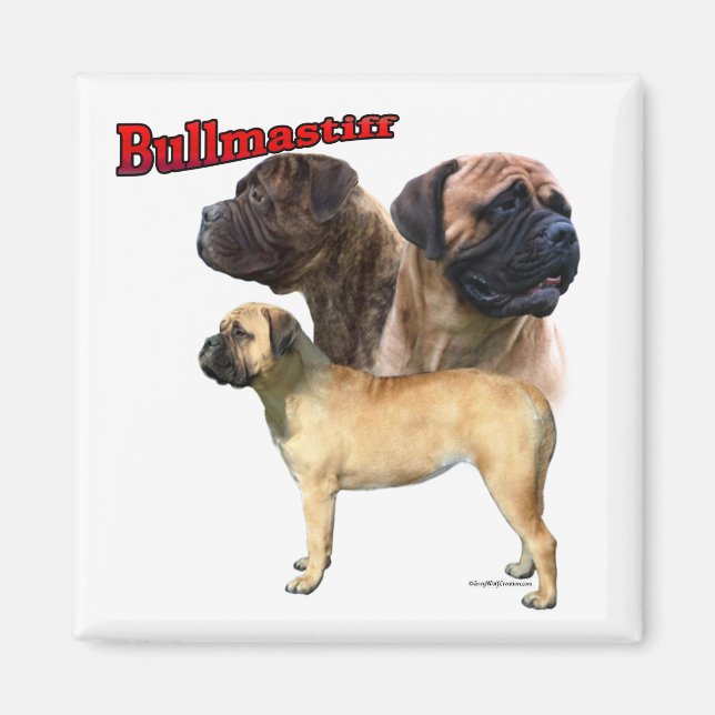 Bullmastiff Trio 2 - Magnet (Framsidan)