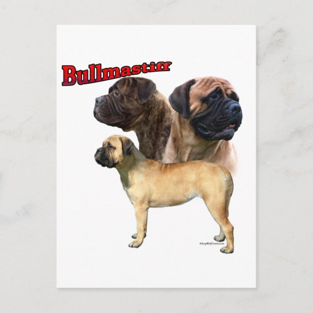 Bullmastiff Trio 2 Vykort (Framsida)