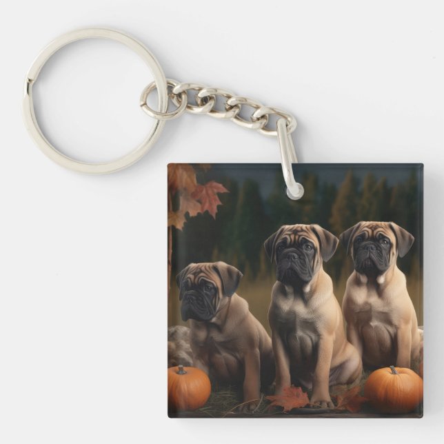 Bullmastiff-valp Höstglädje Pumpa (Framsidan)