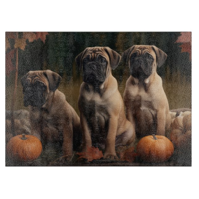 Bullmastiff Valp Höstglädje Pumpa (Framsidan)