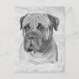 Bullmastiff Vykort