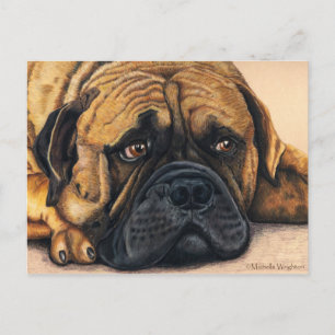 Bullmastiff Waiting - Hund aveln Art Vykort