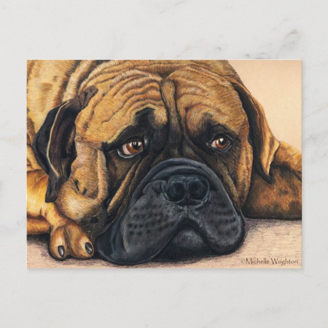 Bullmastiff Waiting - Hund aveln Art Vykort (Framsida)