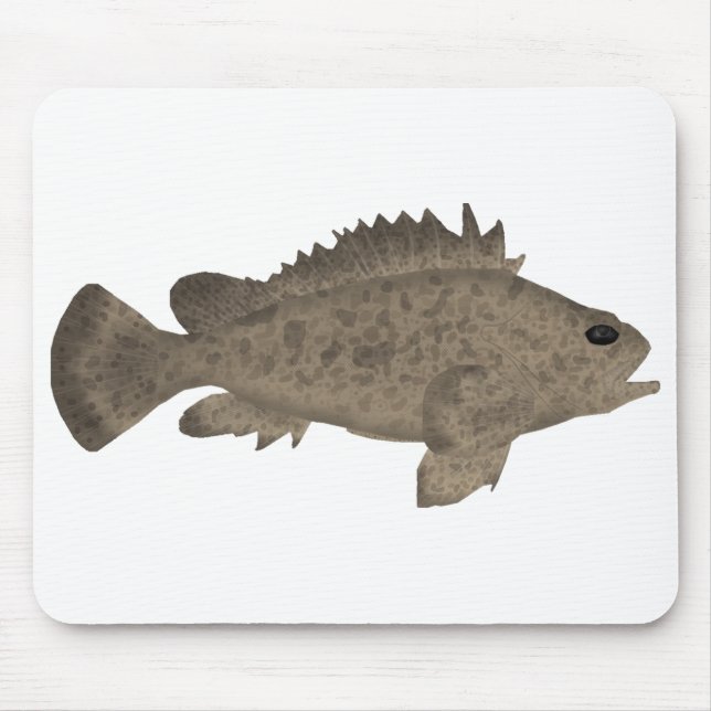 Bullrout Musmatta (Framsidan)