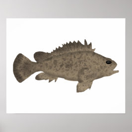 Bullrout Poster