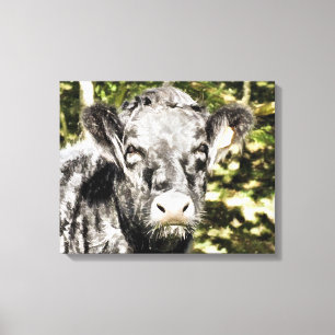 BULLS CANVASTRYCK