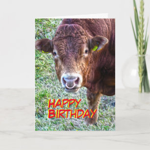 Bulls födelsedag kort