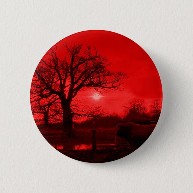 BULLS KNAPP (Framsida)