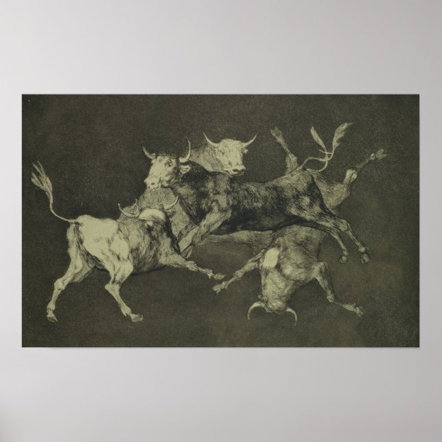 Bulls-lår Poster (Framsidan)