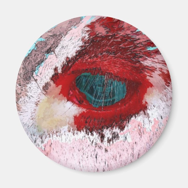 BULLS MAGNET (Framsidan)