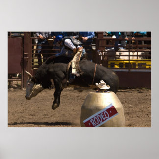 Bulls moder hänger på för ett gott liv poster