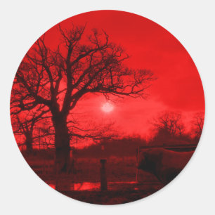 BULLS RUNT KLISTERMÄRKE