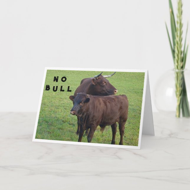 BULLS SÄG *INGET BULL* DU KAN INTE VARA **40** KORT (Framsida)