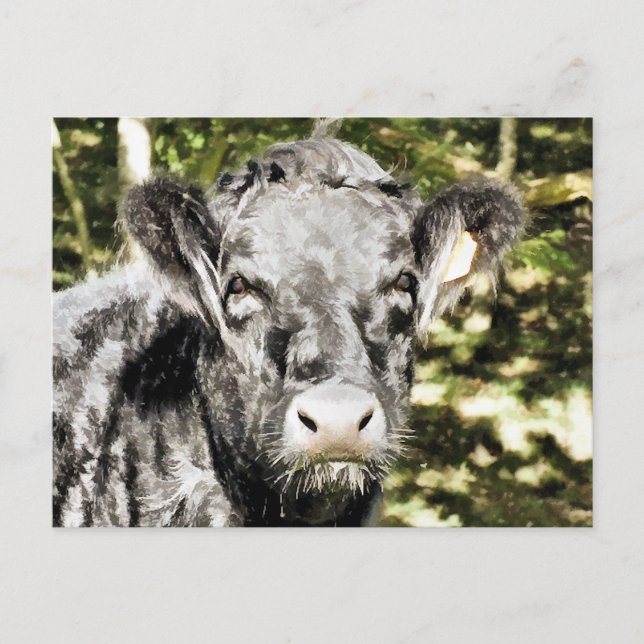 BULLS VYKORT (Framsida)