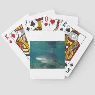 Bullshark Kortlek