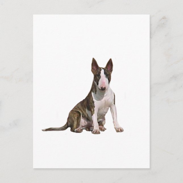 Bullterrier (B) - Tigrerad och vit Vykort (Framsida)