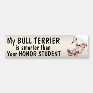 Bullterrier - smartare än studenten - rolig bildekal