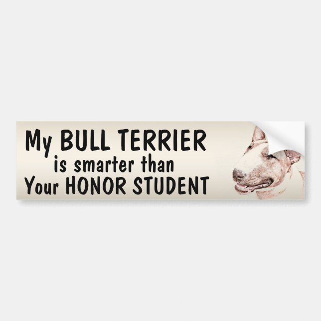 Bullterrier - smartare än studenten - rolig bildekal (Framsidan)