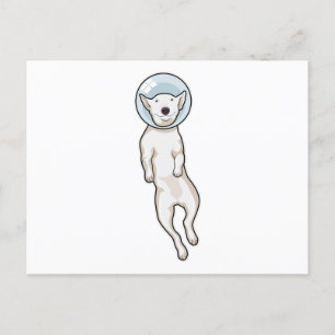 Bullterrier Space Vykort