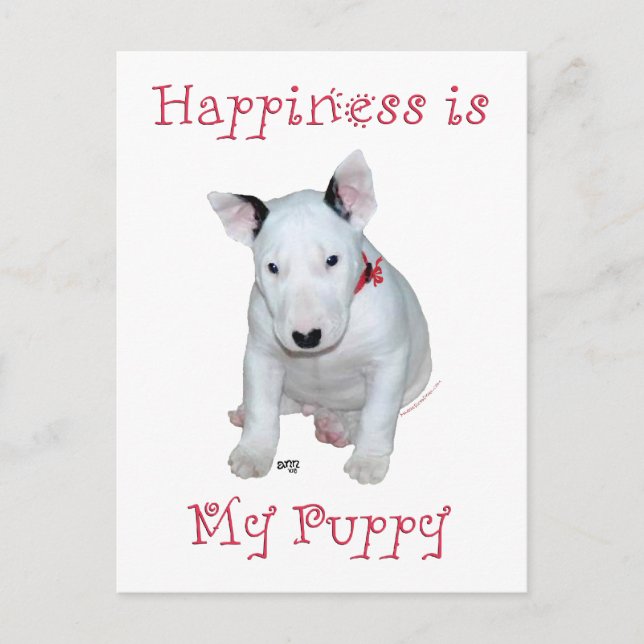 Bullterrier Valp Vykort (Framsida)