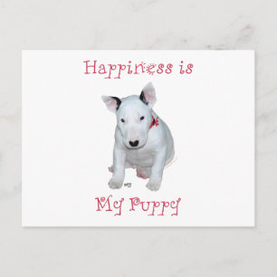 Bullterrier Valp Vykort