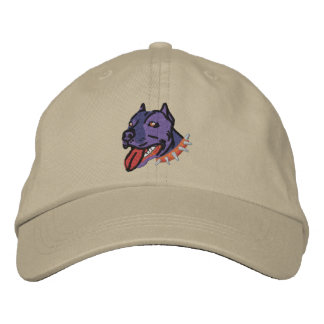 Bully Cap Broderad Keps
