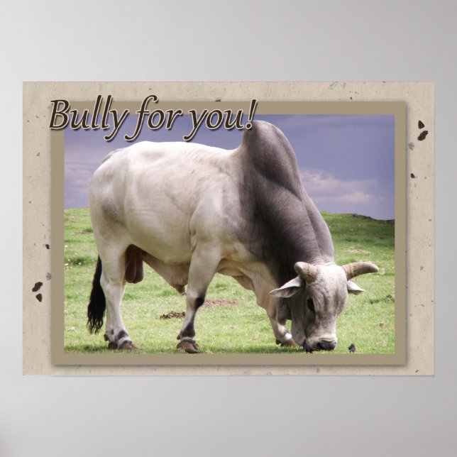 Bully för dig! Brahma Bull Poster Skriv ut (Framsidan)