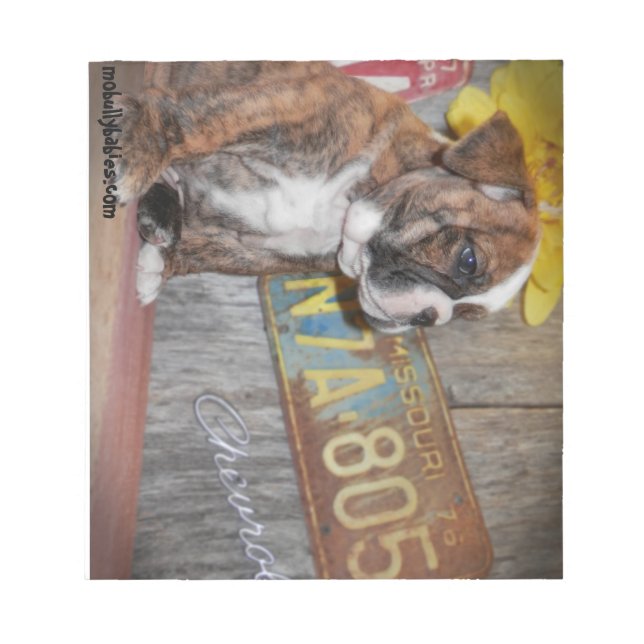 Bully Kärlek Bulldog Anteckningsblock (Framsida)