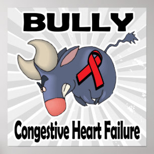 BULLy Kronisk hjärtsvikt Poster