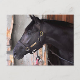 Bully Proof by Bellamy Road-Flaming Slew Vykort