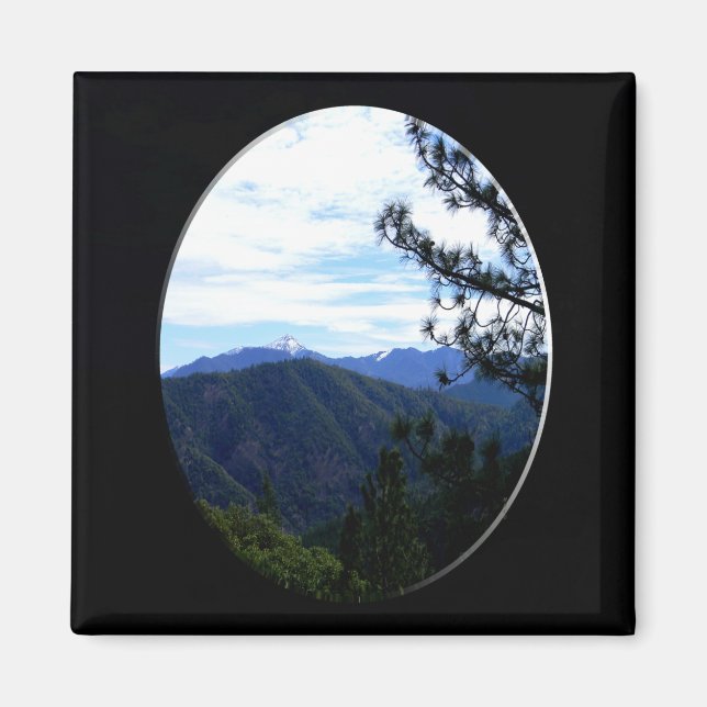 Bully Schup-vy...... Magnet (Framsidan)