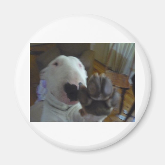 bully tass magnet (Framsidan)