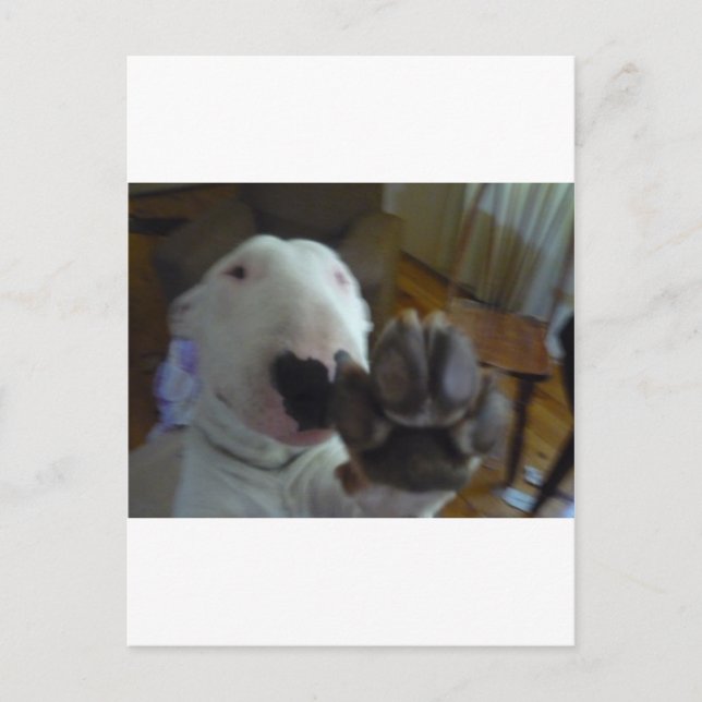 bully tass vykort (Framsida)