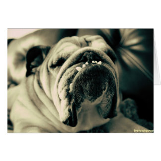 Bully Teeth Hälsningskort