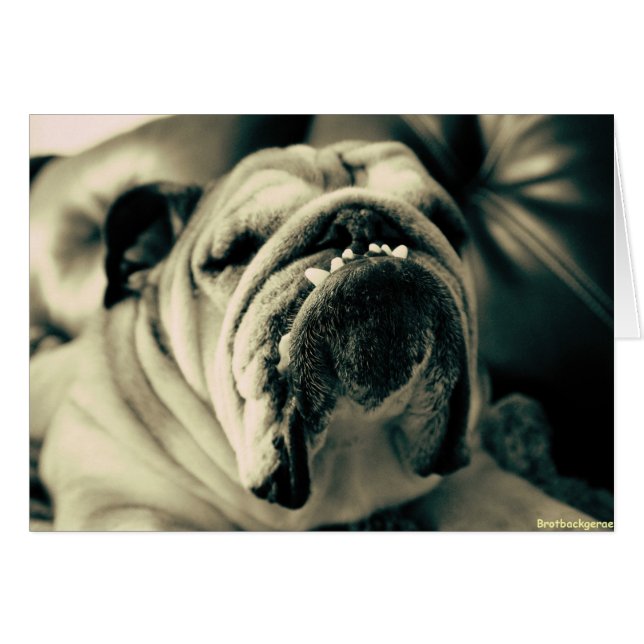 Bully Teeth Hälsningskort (Framsidan Horizontal)