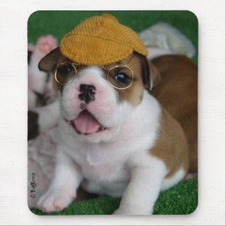 BullyBreeze - kyla - Chillin ut - Mousepad Musmatta