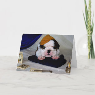 BullyBreeze - Pania - Study Time - Greeting Card Kort