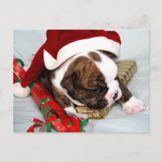 BullyBreeze - SpotDot - Gift-tid - vykort