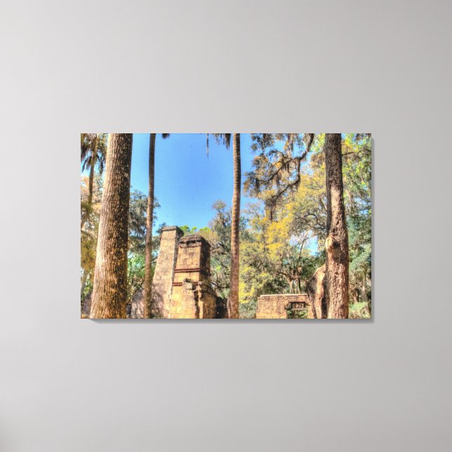 Bulow Plantation Ruins, Florida Canvastryck (Framsida)