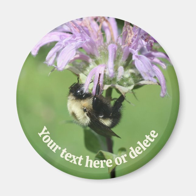 Bumble Bee On Bee Balm Flower Personalized Magnet (Framsidan)