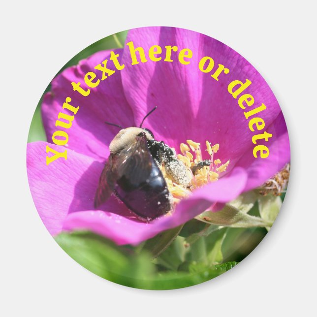 Bumble Bee Rose Flower Personalized Nature Magnet (Framsidan)