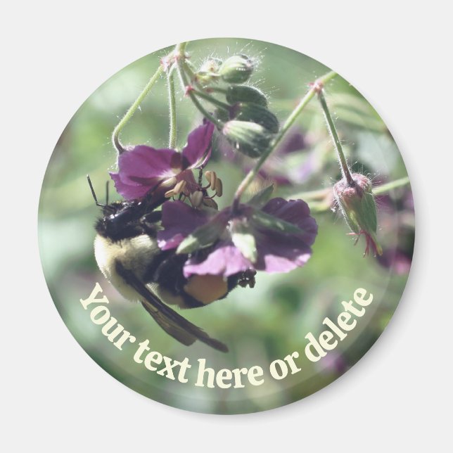 Bumble Bee With Pollen Flower Nature Personalized Magnet (Framsidan)