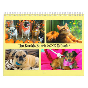 Bumble Bunch 2020 Kalender