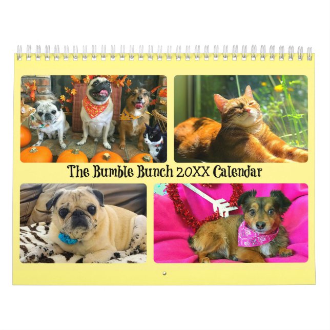 Bumble Bunch 2020 Kalender (Omslag)