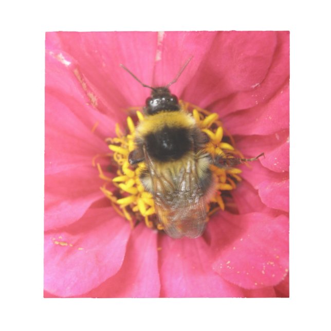 BumblebeAnteckningsblock Anteckningsblock (Framsida)