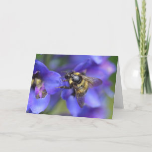 Bumblebee Close-Up Kort