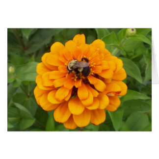 Bumblebee Hälsningskort