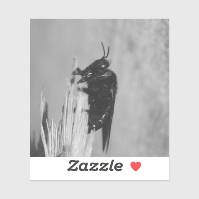 Bumblebee Klistermärken (Ark)